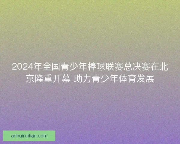 2024年全国青少年棒球联赛总决赛在北京隆重开幕 助力青少年体育发展