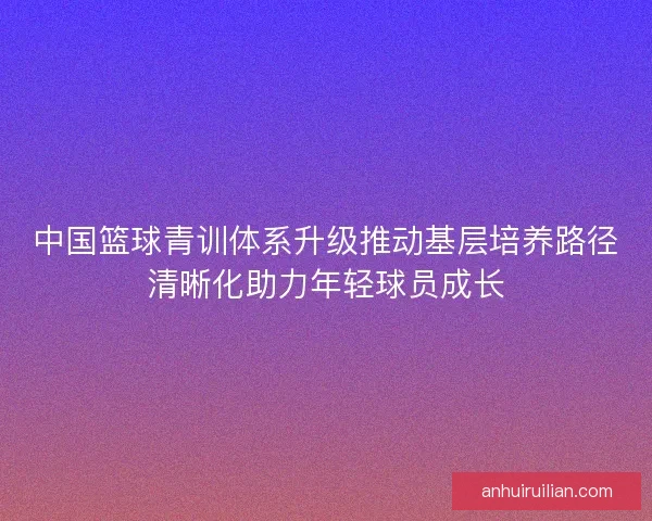 中国篮球青训体系升级推动基层培养路径清晰化助力年轻球员成长