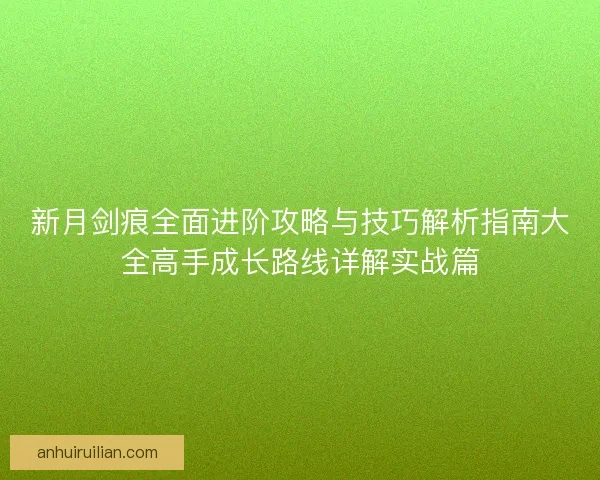 新月剑痕全面进阶攻略与技巧解析指南大全高手成长路线详解实战篇