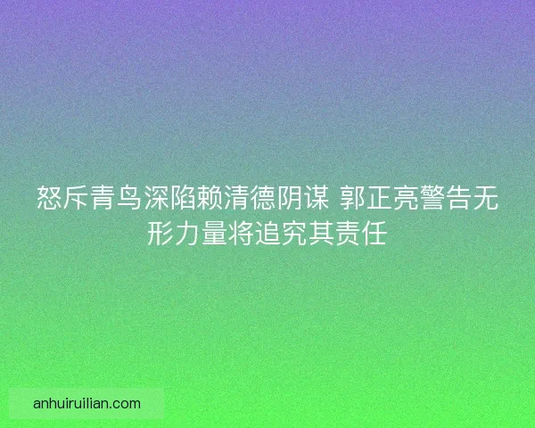 怒斥青鸟深陷赖清德阴谋 郭正亮警告无形力量将追究其责任