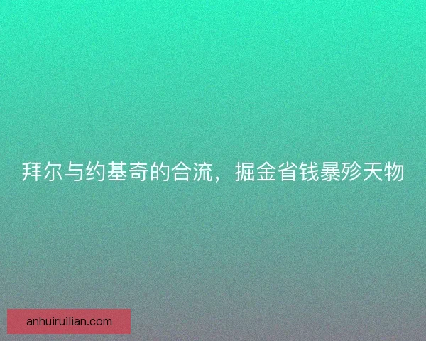 拜尔与约基奇的合流，掘金省钱暴殄天物