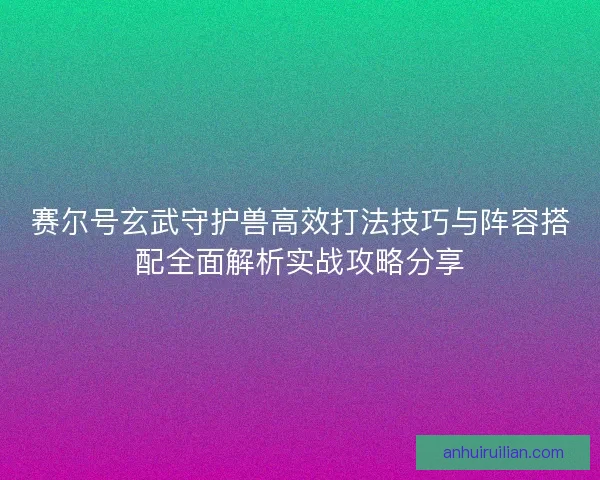 赛尔号玄武守护兽高效打法技巧与阵容搭配全面解析实战攻略分享